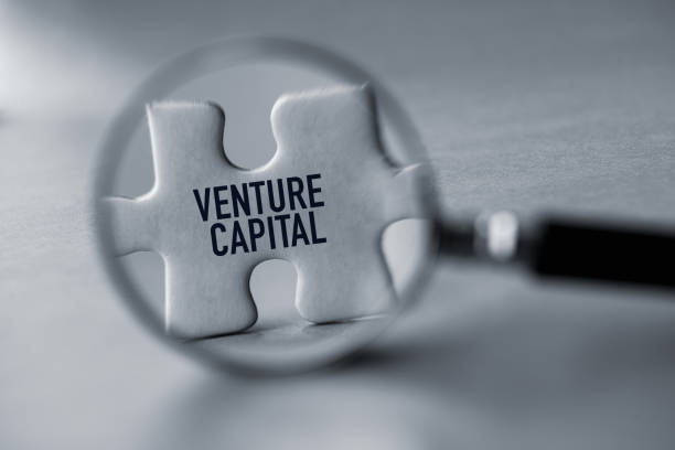 venture capital